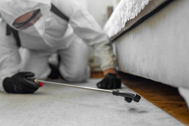 Professional Cockroach Control technician working in Cumberland Head, NY